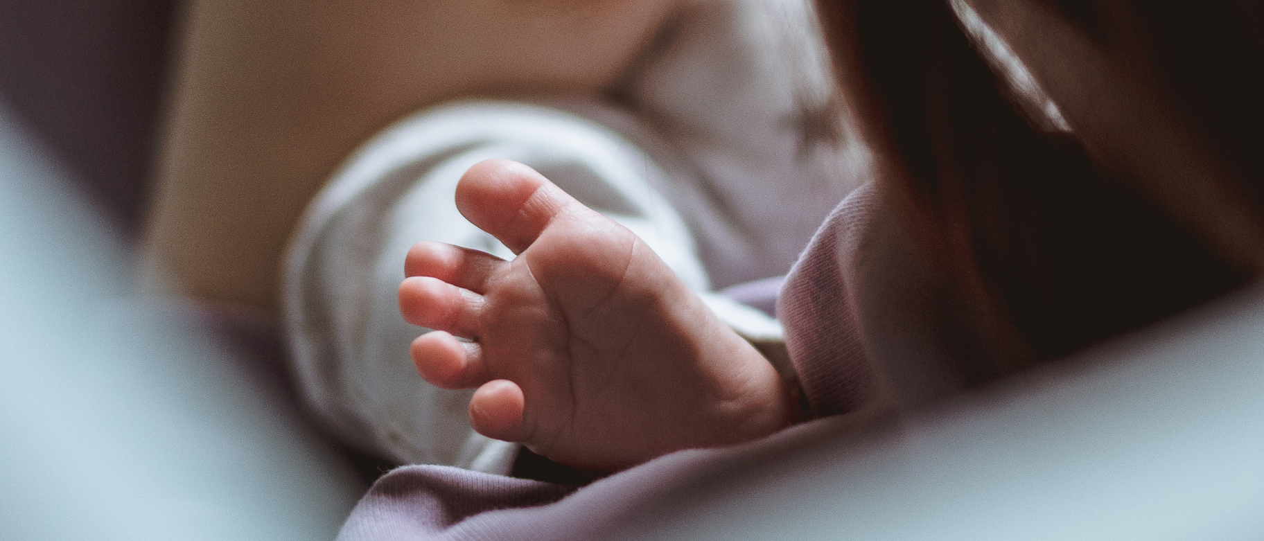 Navrh bez nazvu | Rodiny